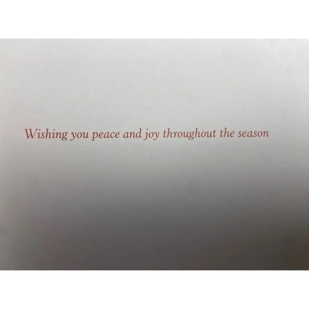 Peter Pauper Press Christmas Cards Angel Watercolor Gold Foil Boxed Set 16ct